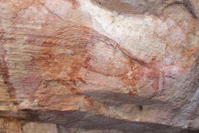 Wallaby rosso con zampe di cuccioli che sporgono dalla sacca da Unbekannt Unbekannt